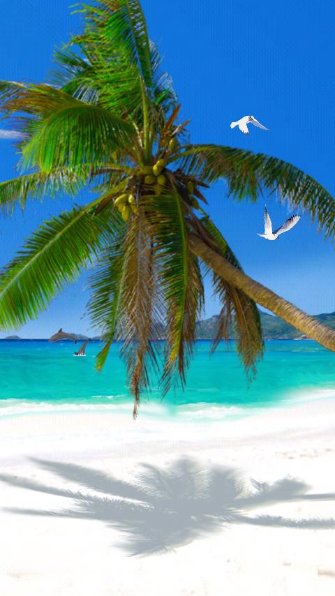 Beach ScreenSaver 2