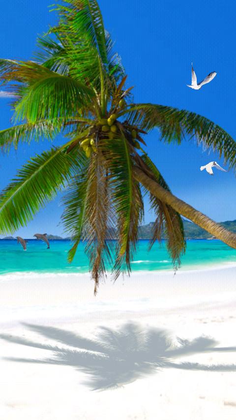 Beach ScreenSaver 1