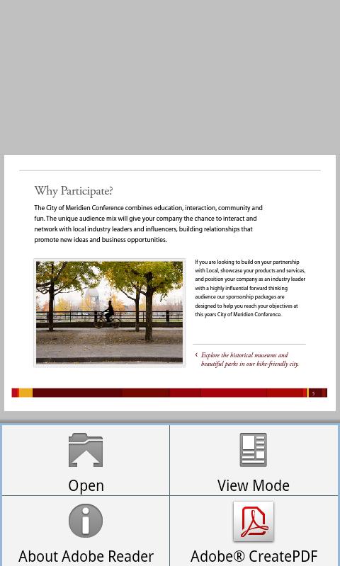 Adobe Reader 4