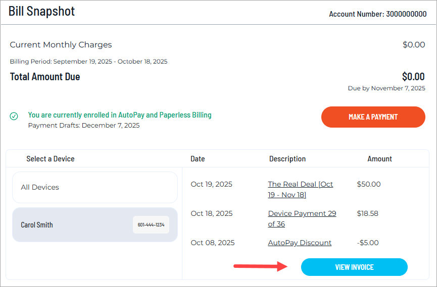 Click View Invoice to see a PDF of your bill.