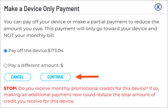 Choose your payment option and continue.
