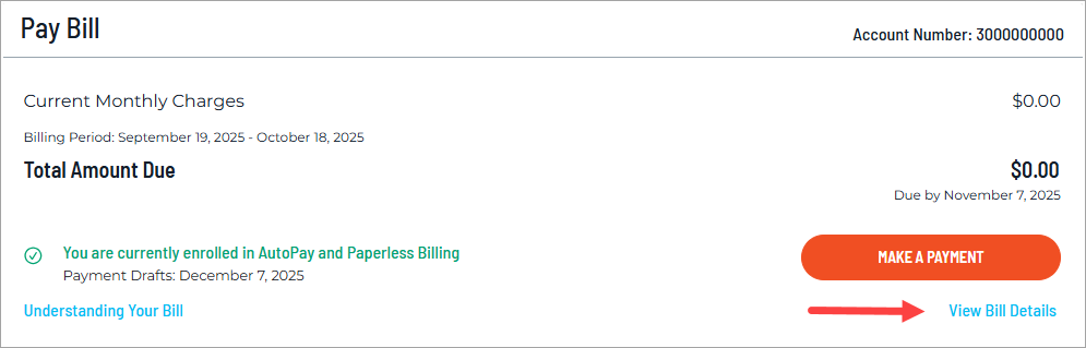 On your account dashboard, look for the View Bill Details link below the Make a Payment button.
