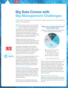 Big Data white paper cover