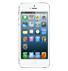 iPhone 5 64GB (White and Silver) 0